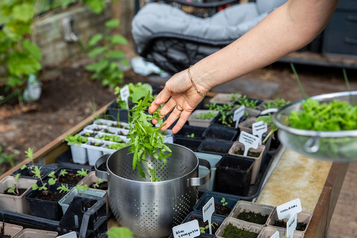 personalbrand fotoshoot van een voedingsdeskundige in Haren Groningen