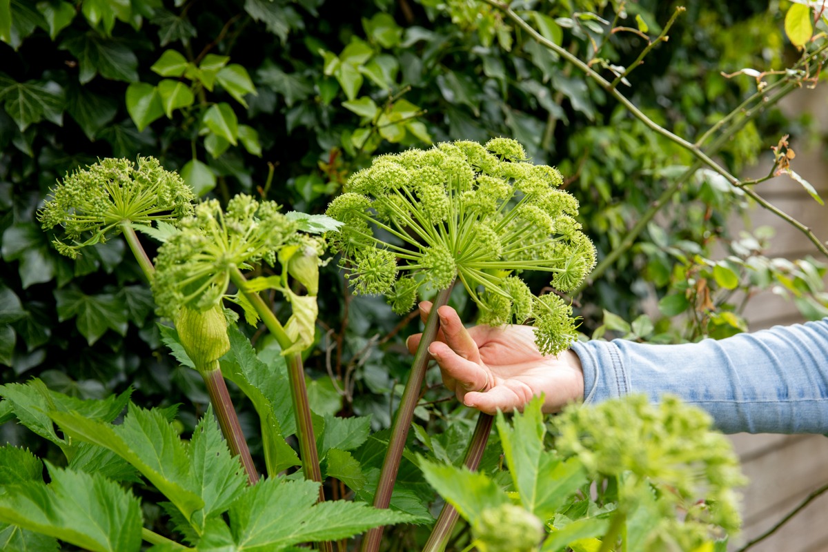 Personal branding fotoshoot