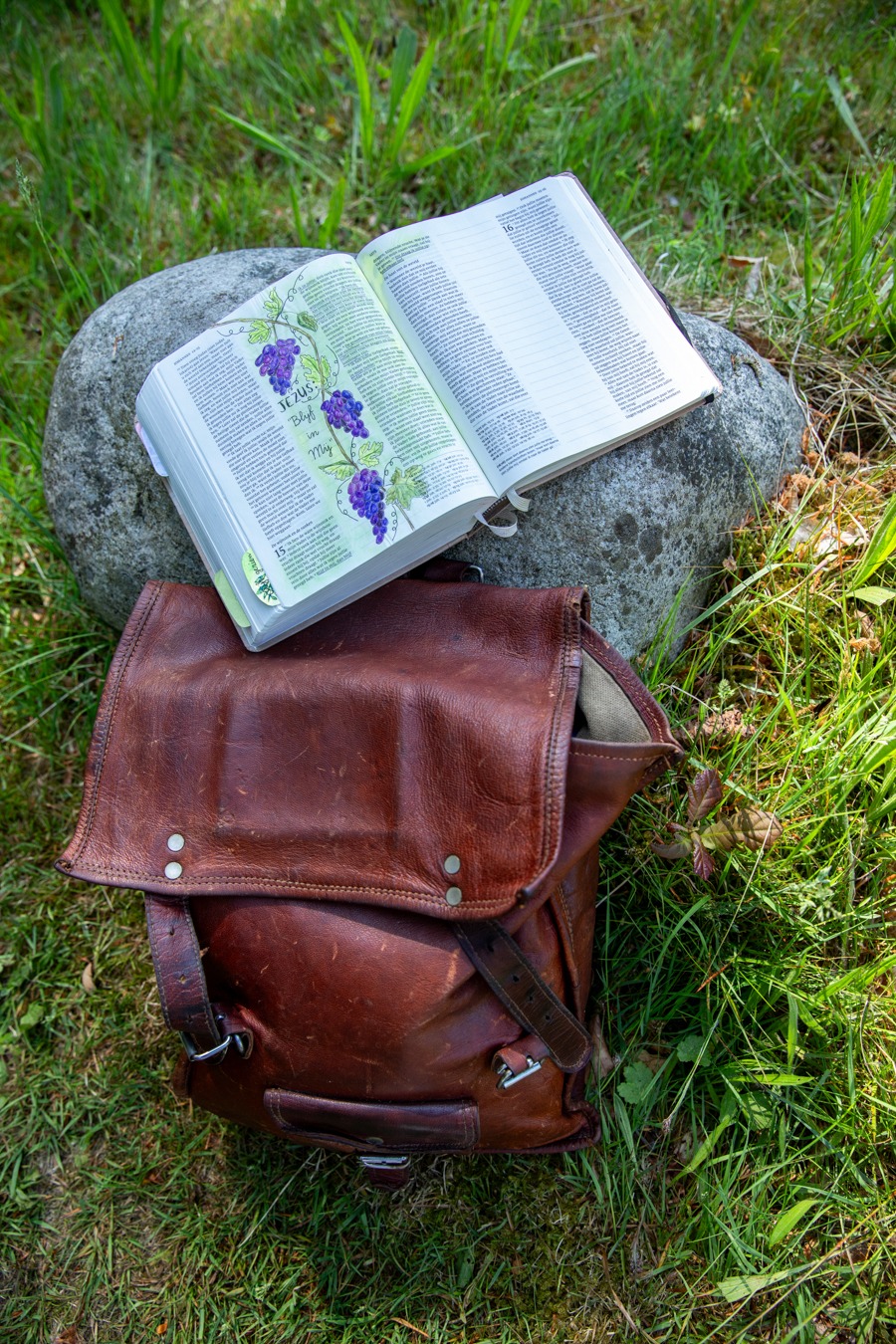 Brandingfotoshoot met diepgang - Oogst Nieuw Leven
